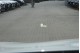 BMW 535dA xDrive